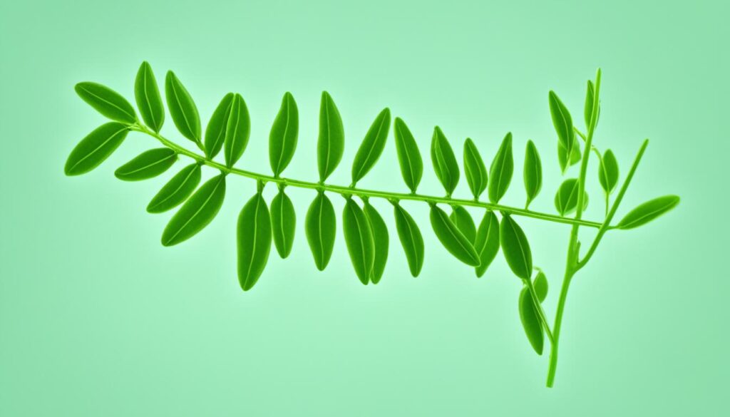 pea plant recessive trait